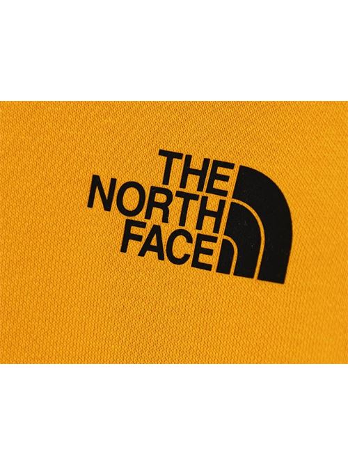 teen box nse regular crew THE NORTH FACE | NF0A89H756P156P